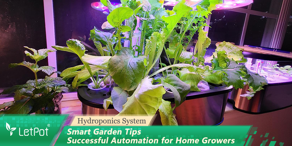 Smart Garden Tips - Successful Automation for Home Growers