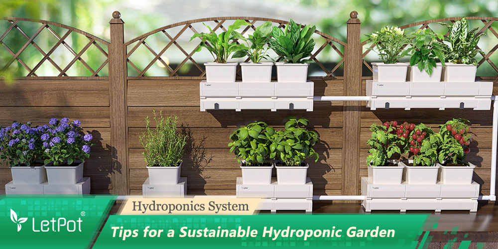 Tips for a Sustainable Hydroponic Garden