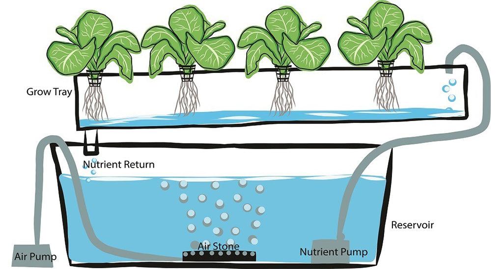 DIY Hydroponics Growing System: Crafting Your Own System at Home