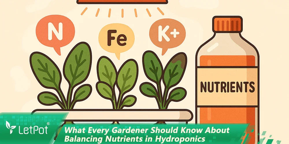 Illustration of hydroponic plants with nutrients symbols and nutrient bottle for indoor gardening
