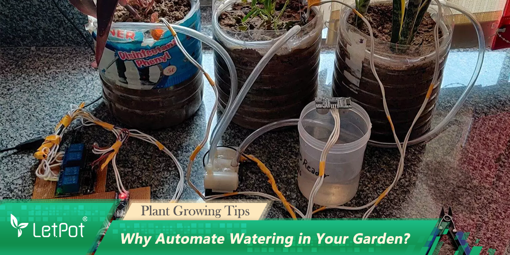 Why Automate Watering in Your Garden?