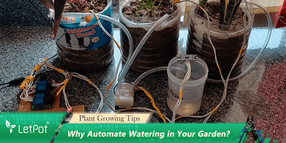 DIY automatic garden watering system with tubes, sensors, and potted plants on a countertop