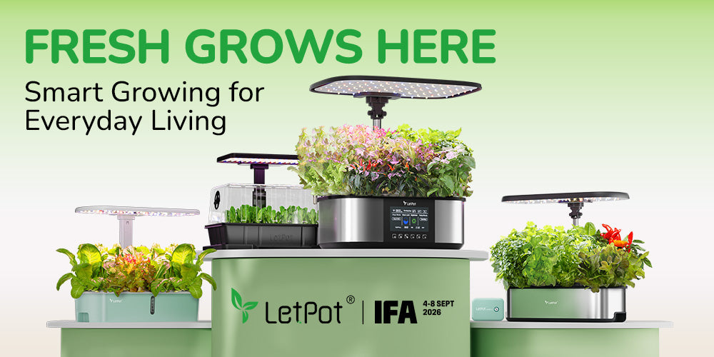 LetPot Is Coming to IFA Berlin 2026 — Meet the All-New LPH-Home