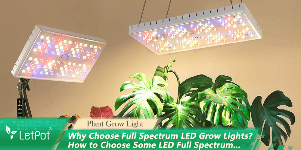 Indoor full spectrum LED grow lights hanging above green houseplants with tropical leaves