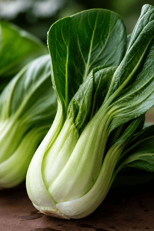 Baby Bok Choy