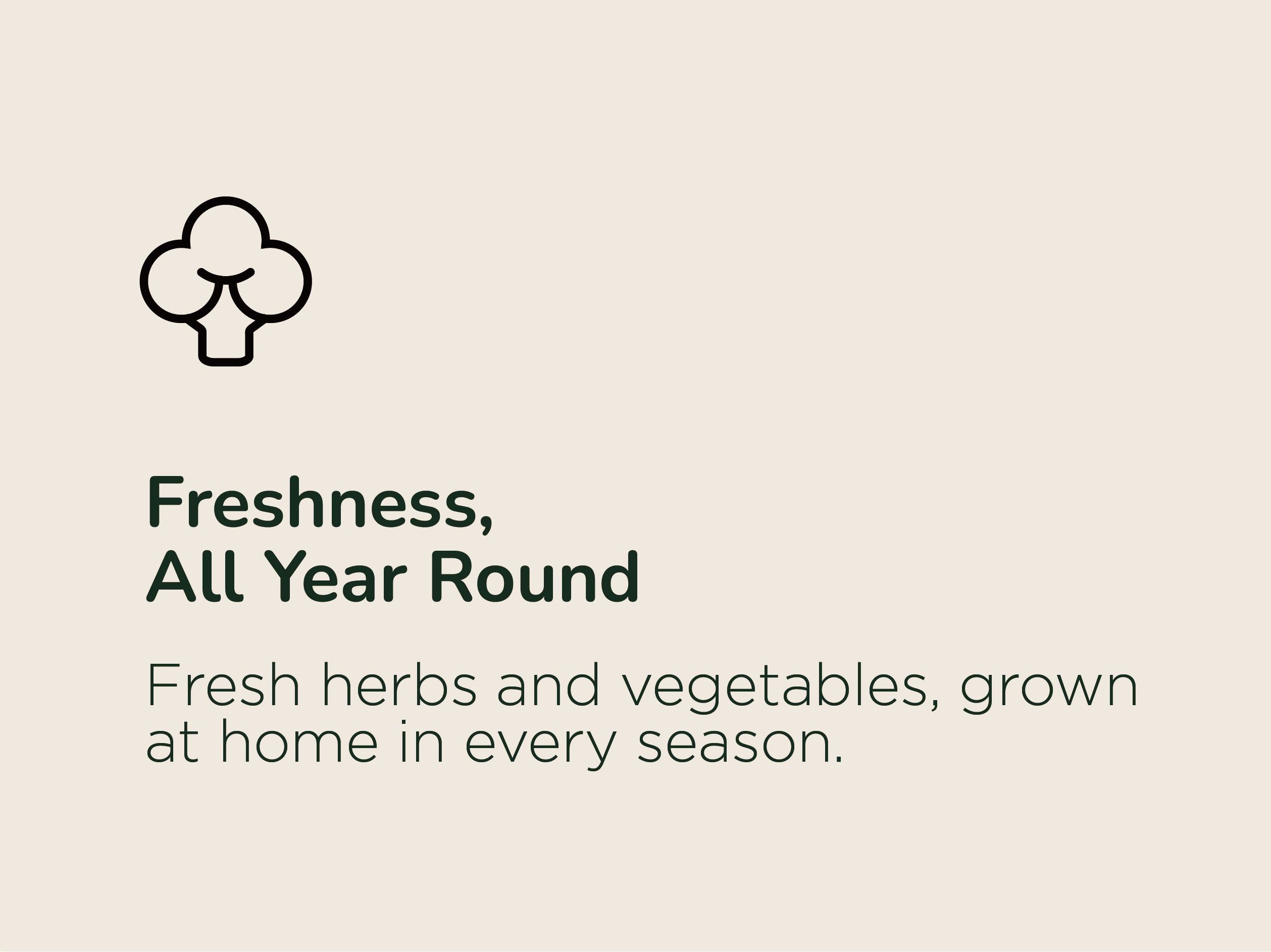 Fresh herbs and vegetables, grown at home in every season.