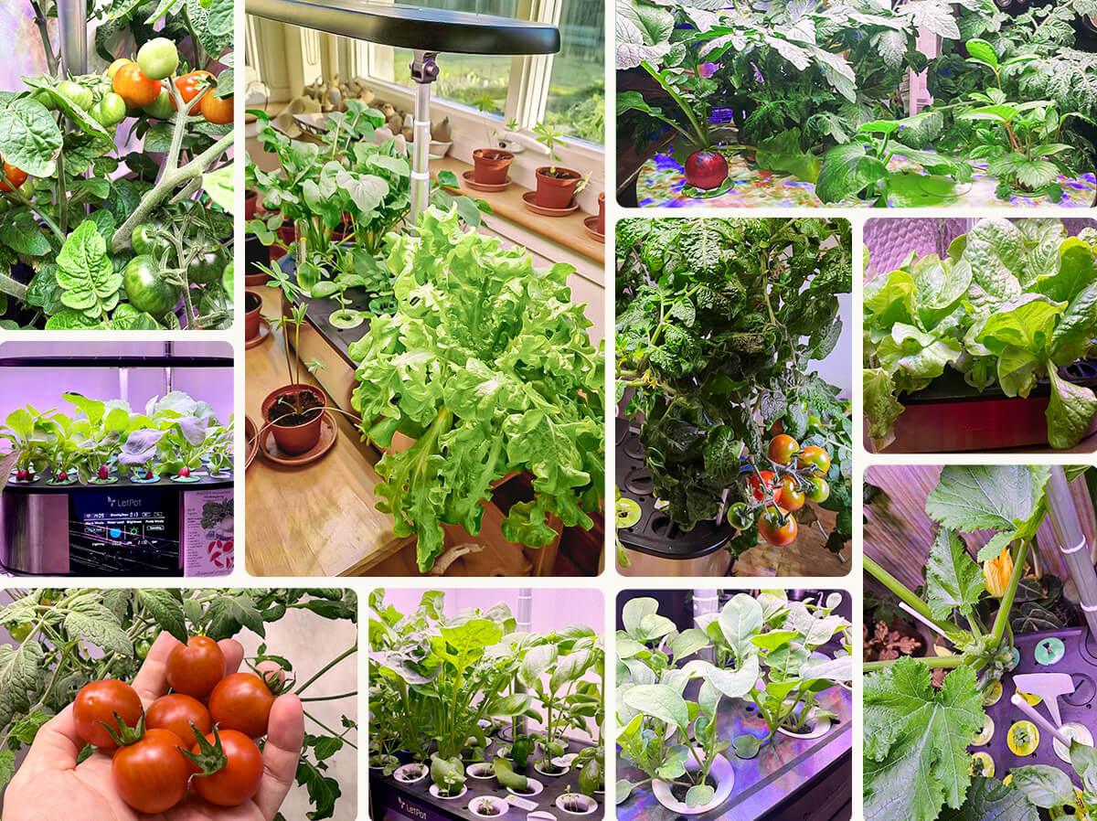 Grow Together With 100,000+ Happy Gardeners
