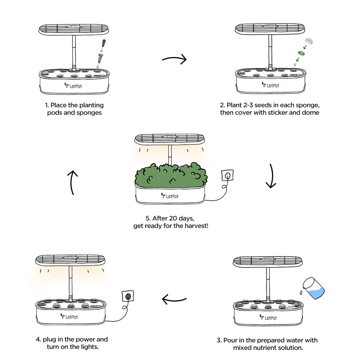 how hydroponic system works