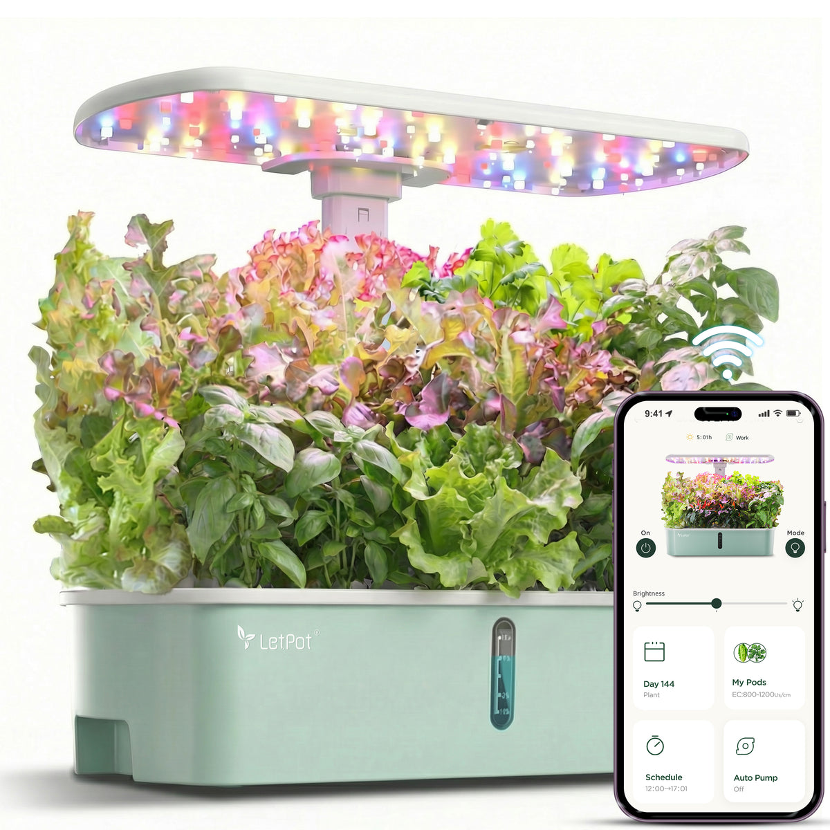 LetPot Air 10-Pod Hydroponic Gardening System, Indoor Garden Kit