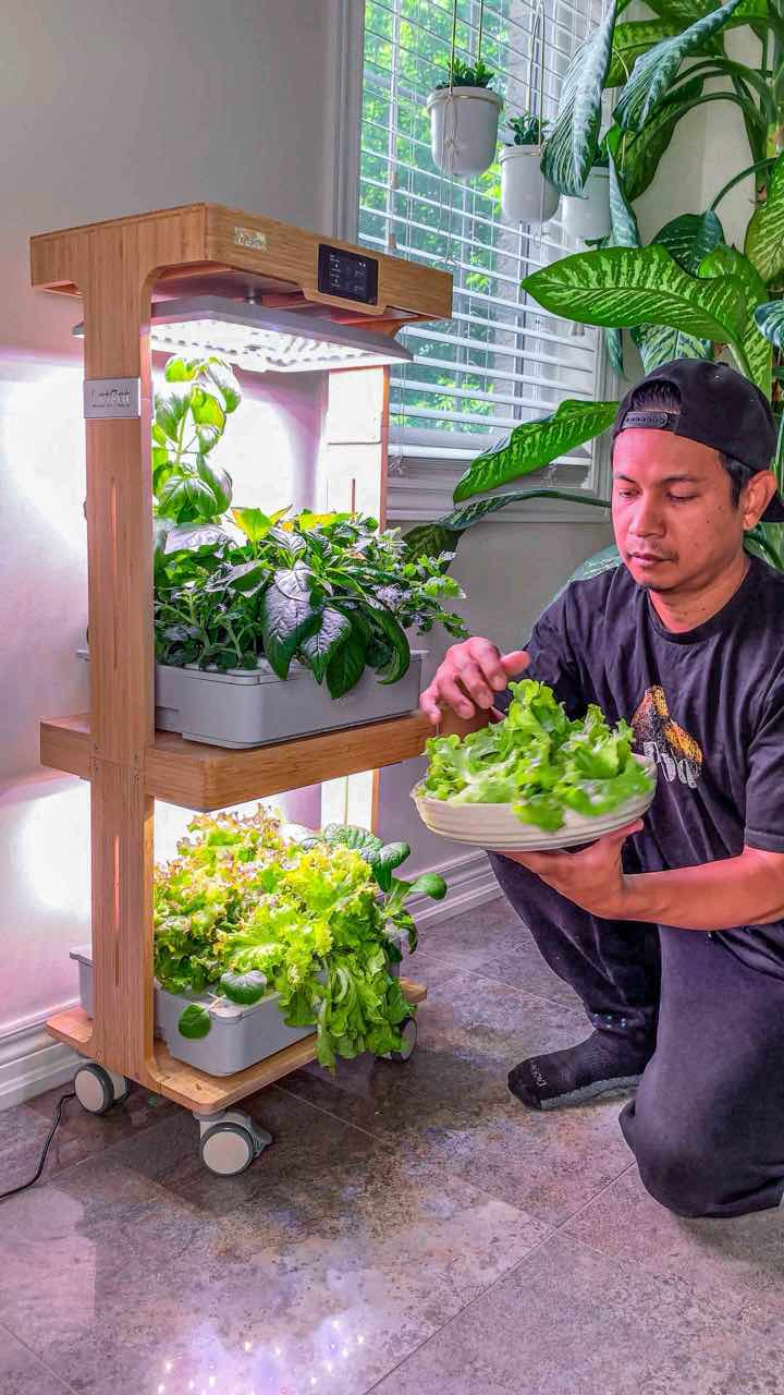 Early tester harvesting lettuce from LetPot LPH-Home