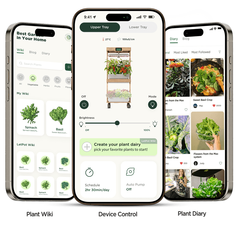 Free App. Real Guidance. No Subscription.
