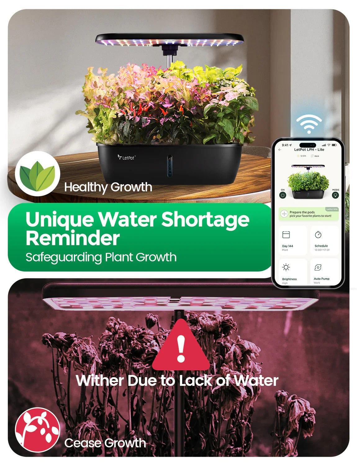 LPH-Lite Indoor Garden