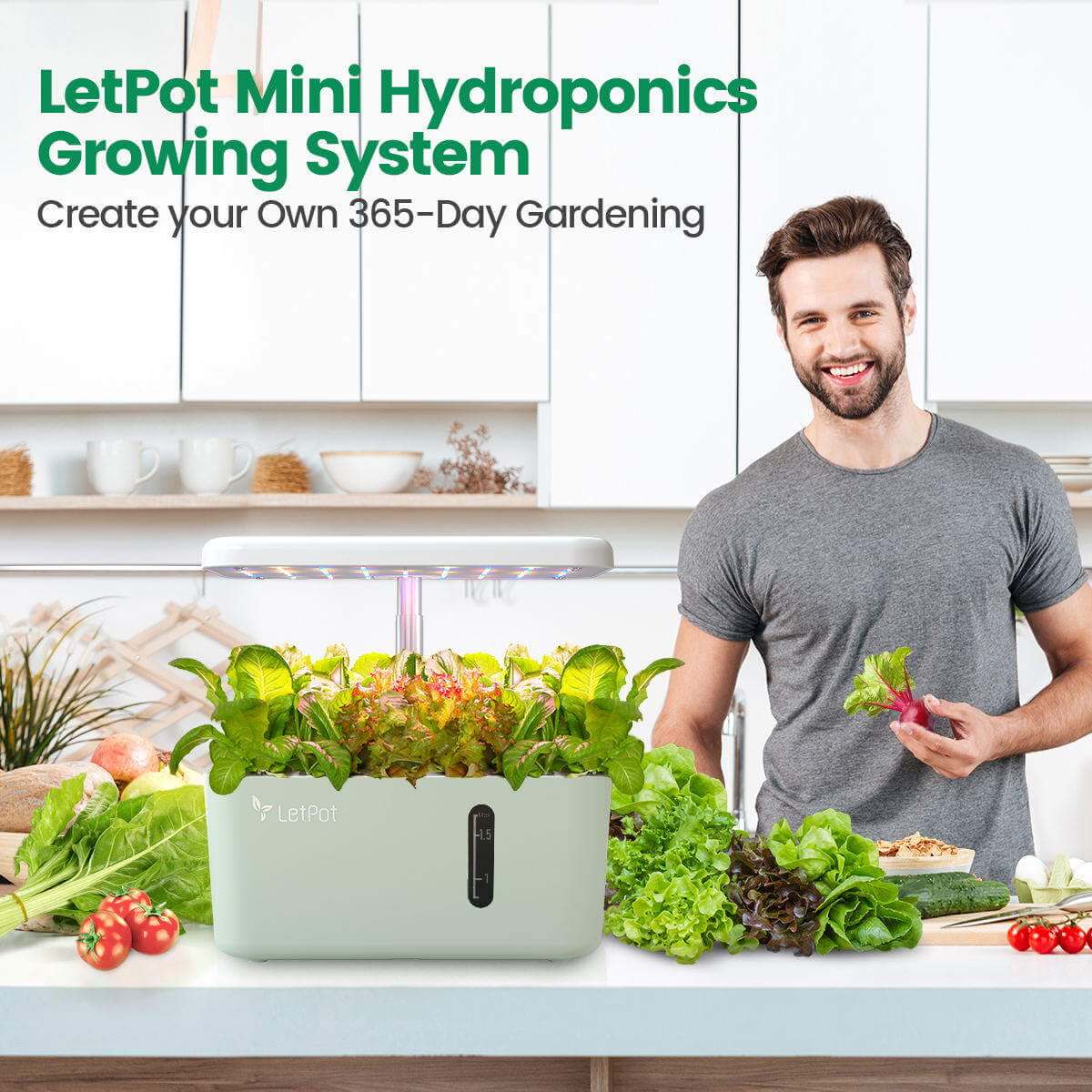 LetPot Mini Hydroponic Growing System - Create Your Own 365-Day Garden