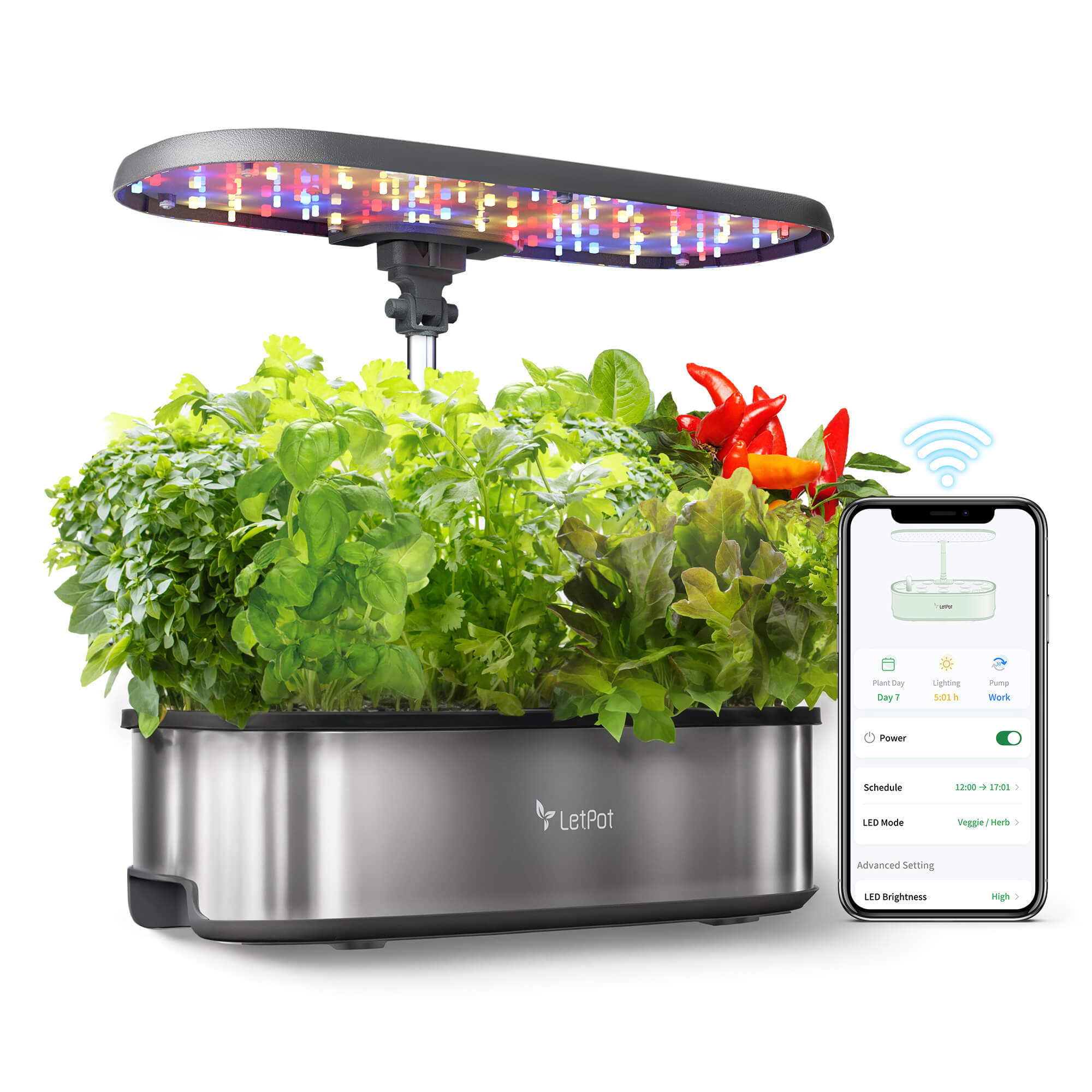 LetPot Senior Hydroponics Latest version