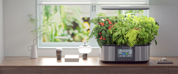 LetPot® indoor Garden, Hydroponic Smart Planter with App Control