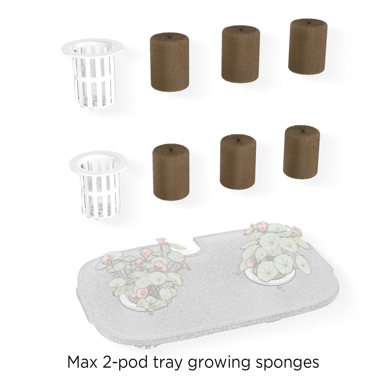 Max‘s 2-Pod Tray Big Sponges Accessory kit