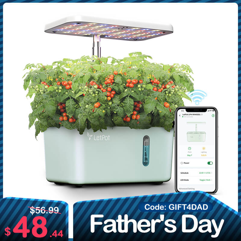 LetPot Mini 5-Pod Indoor Hydroponic Garden
