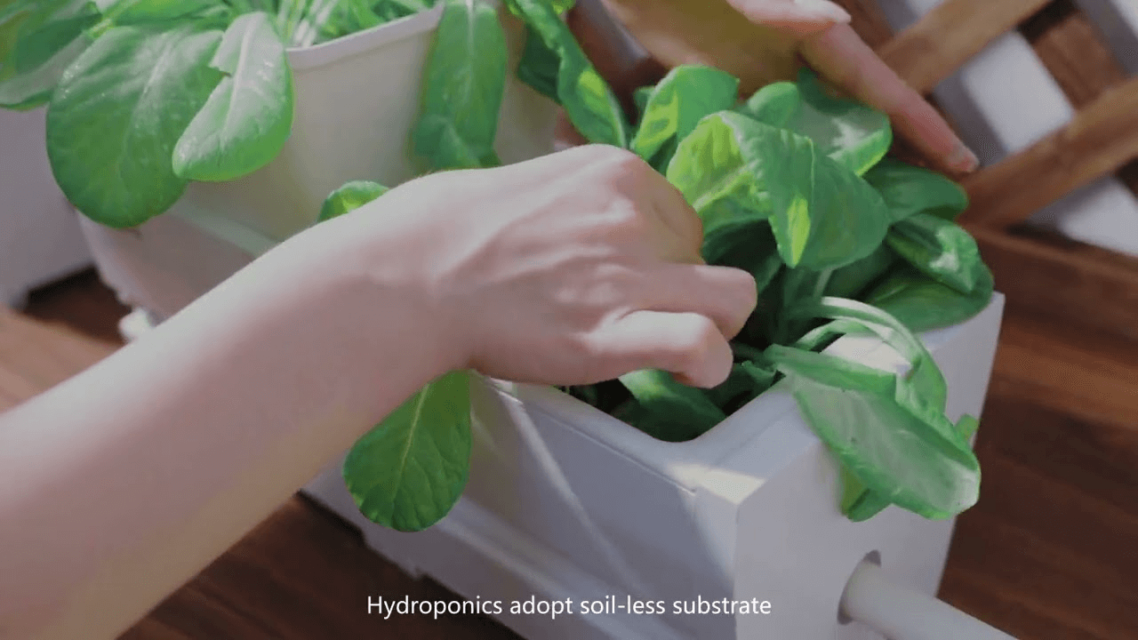 smart Self-watering planter