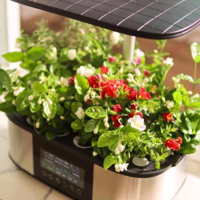 Expert Hydroponic Growing Tips & Product Insights, GrowersHouse, What Are  the Best Fabric Pots for Growing Plants?