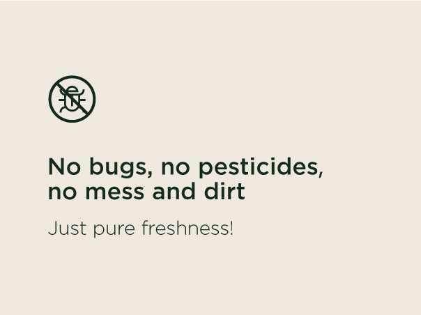 No_bugs_no_pesticides_no_mess_and_dirt