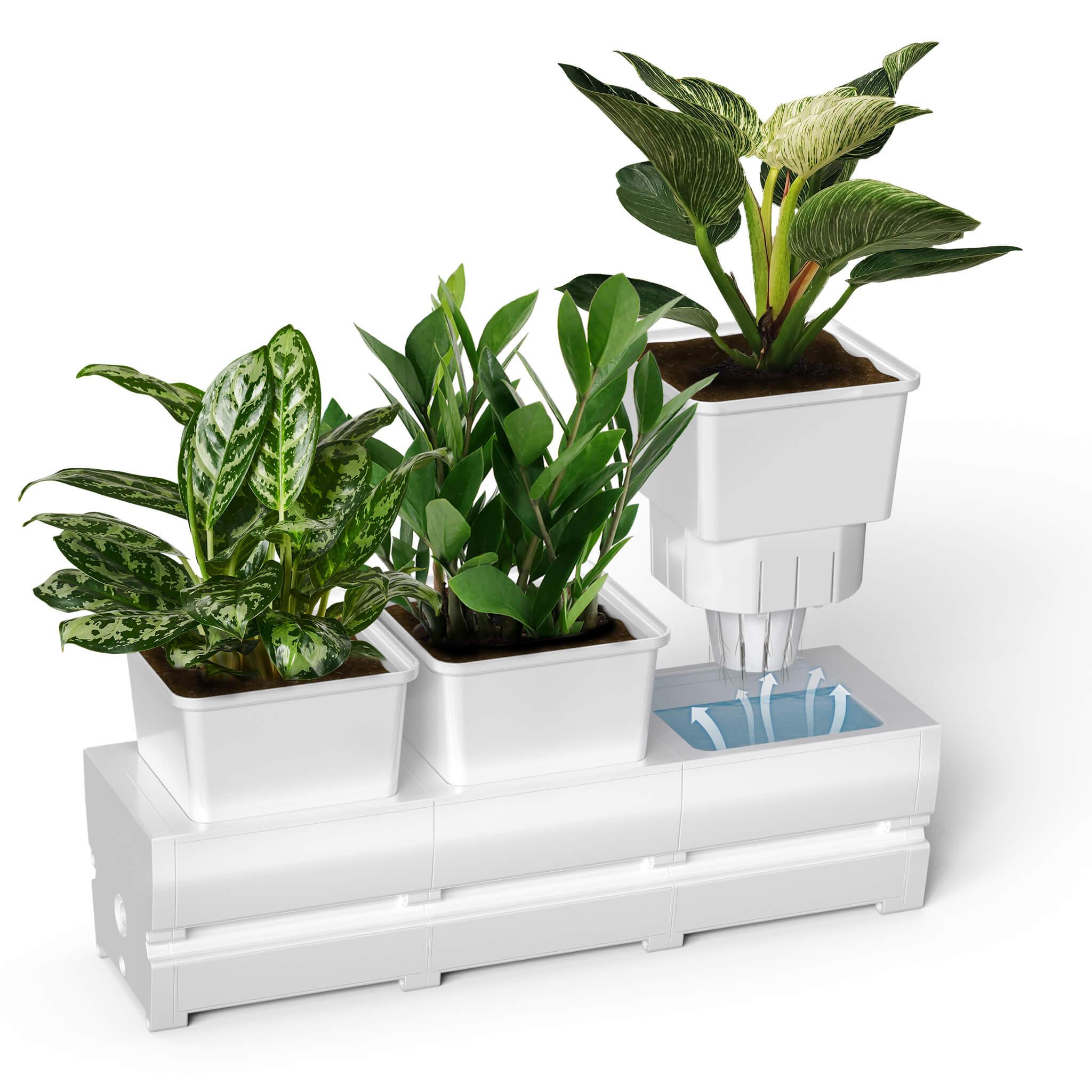 trio self-watering planter- letpot indoor garden