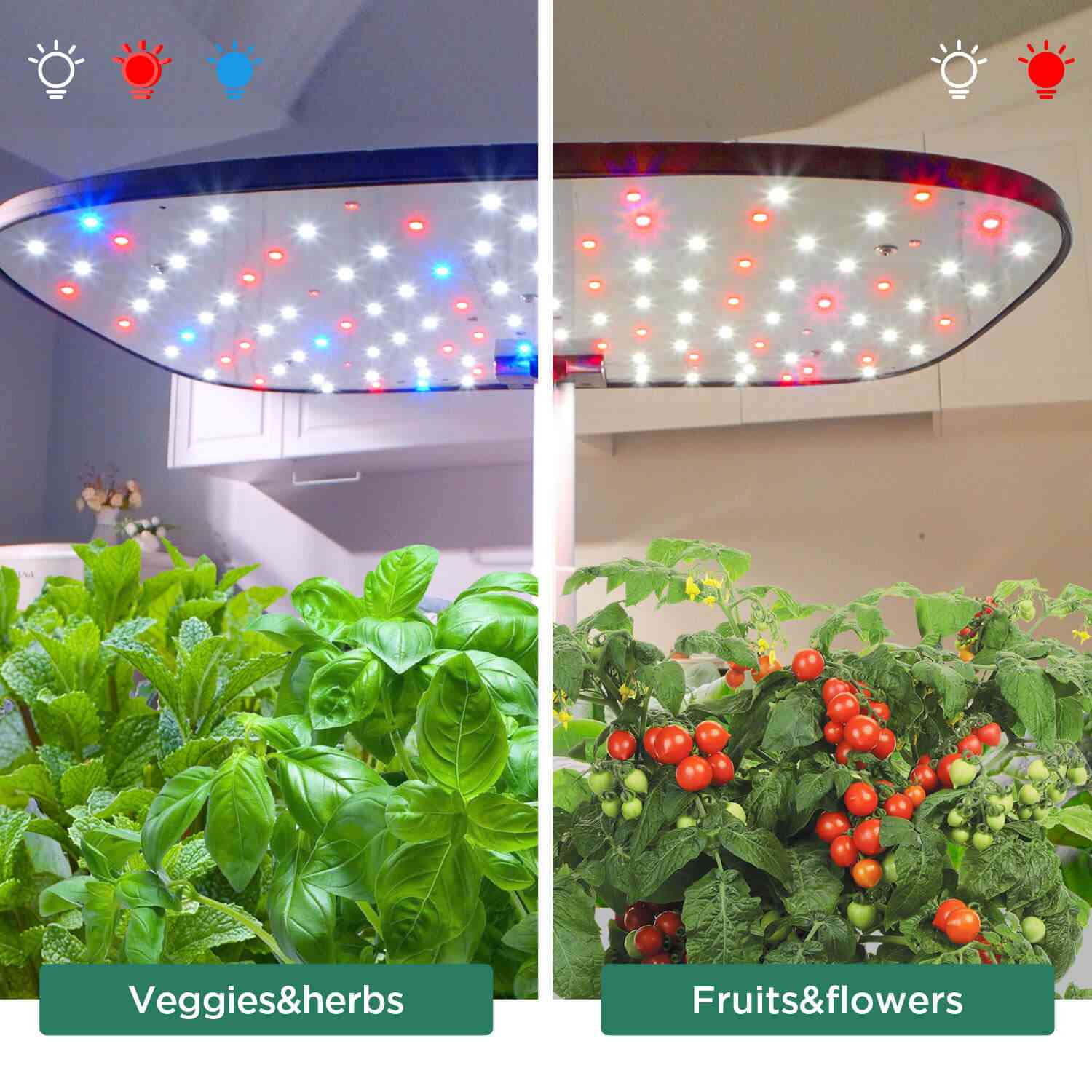 Smart Full-Spectrum LED Growing System - LetPot Senior