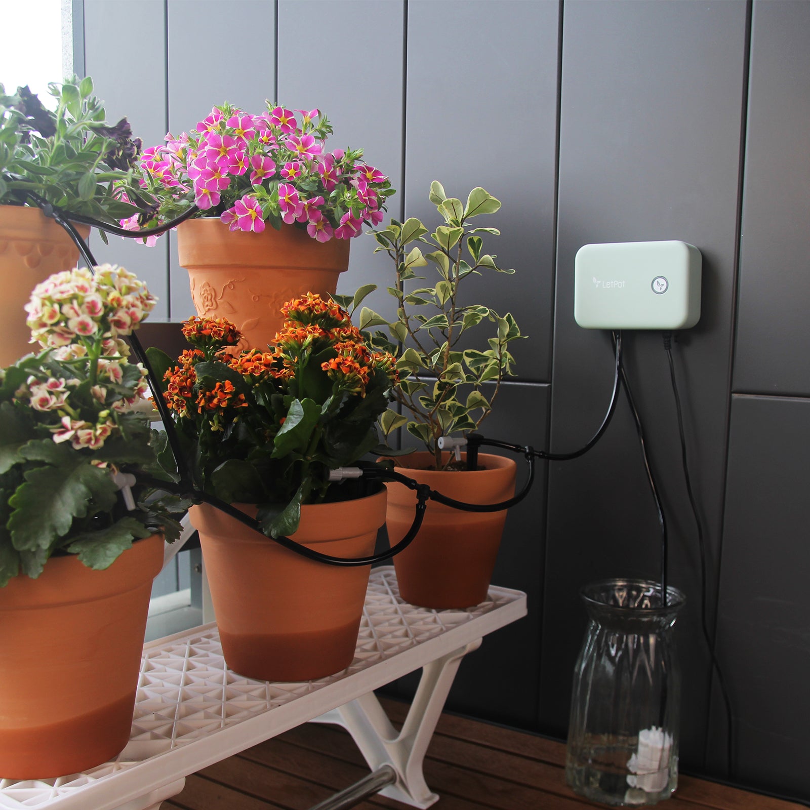 Automatic Watering System, Indoor Garden Watering System with App Control