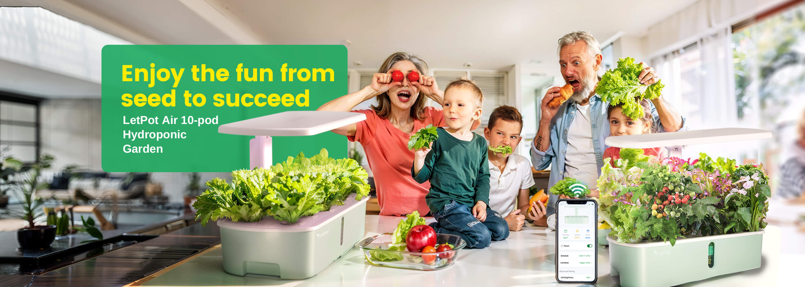 enjoy the fun from seed to succeed in LetPot Hydroponics