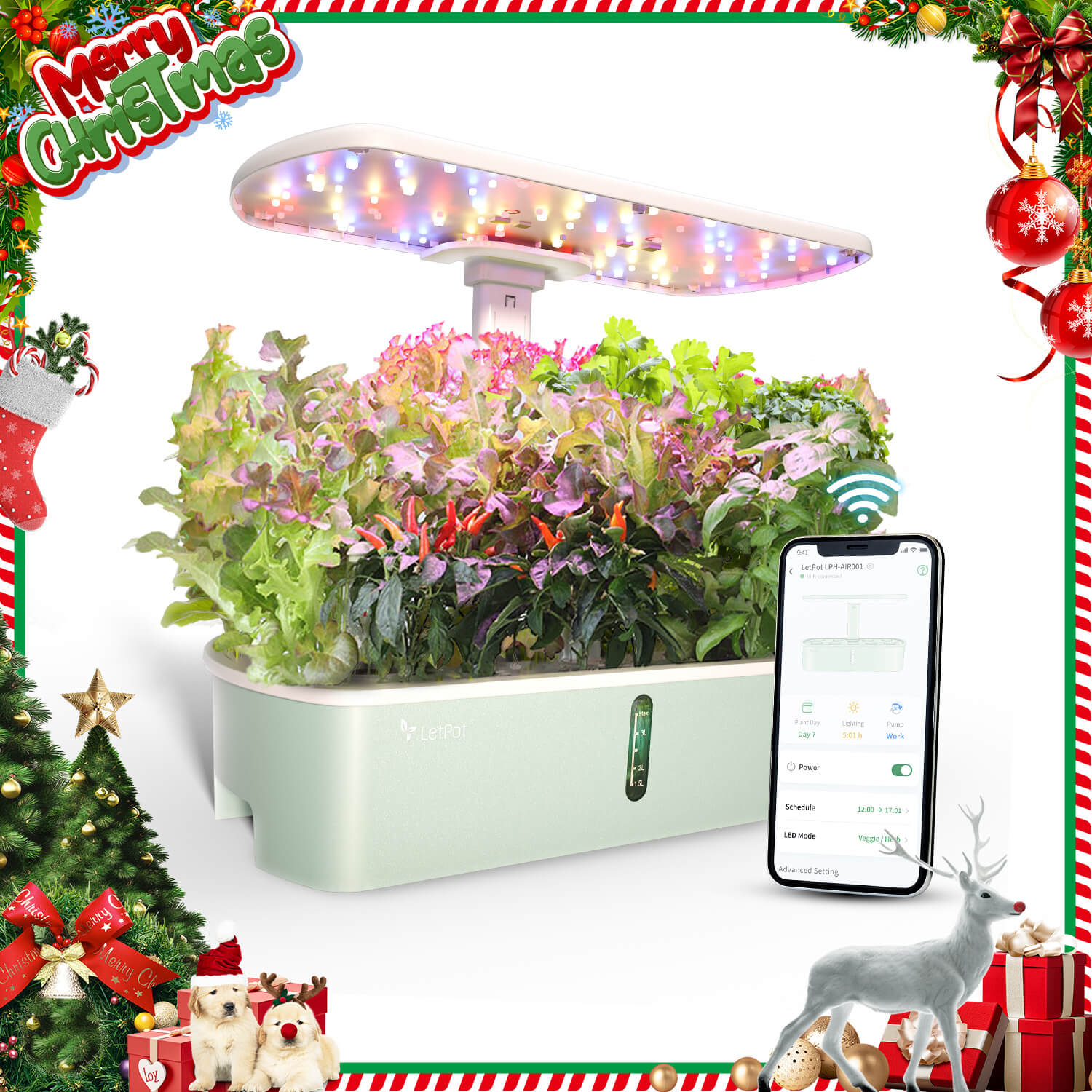 LetPot Air 10 Pods Hydroponic Gardening System