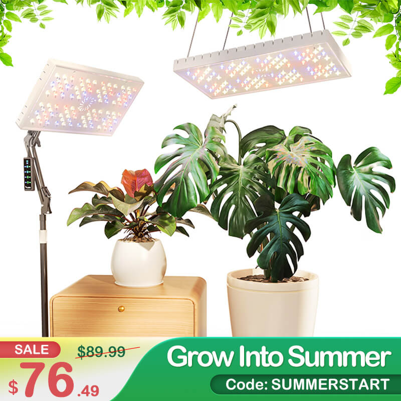LetPot Smart Indoor Plant Grow Lights