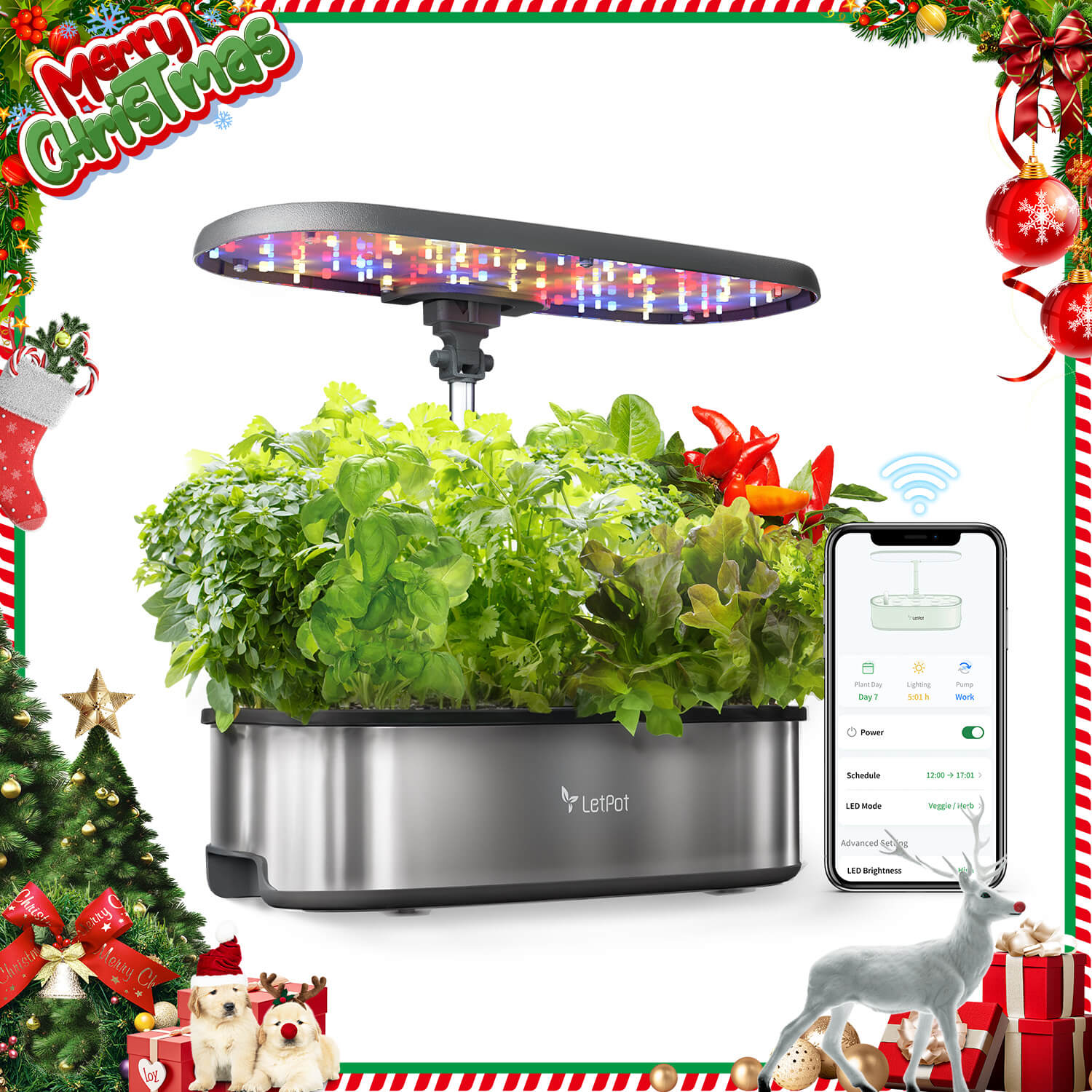 LetPot Senior Hydroponic Growing System