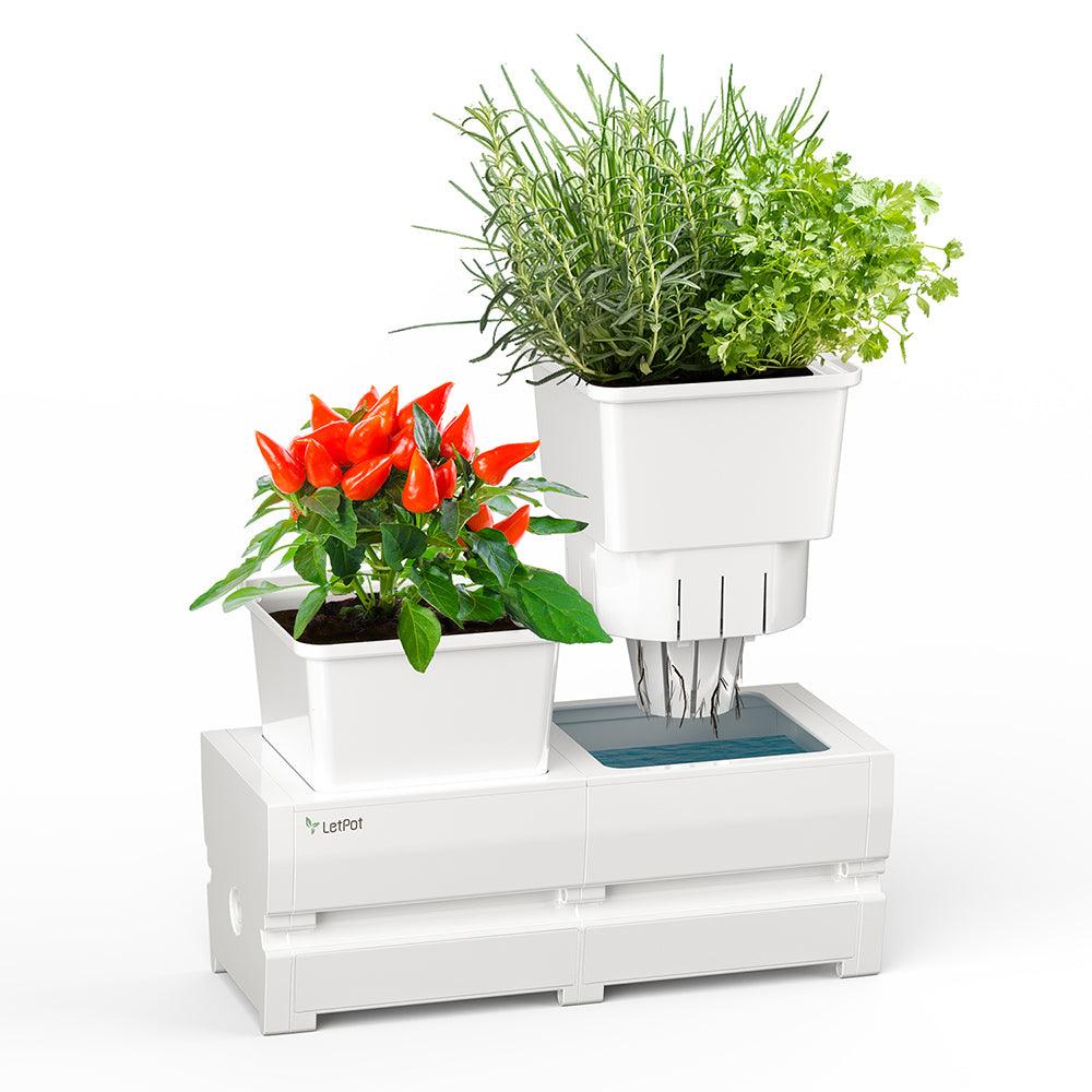 Self-watering Planter with 21 Days Watering-free 2-in-1 Plant Pots - LetPot's garden