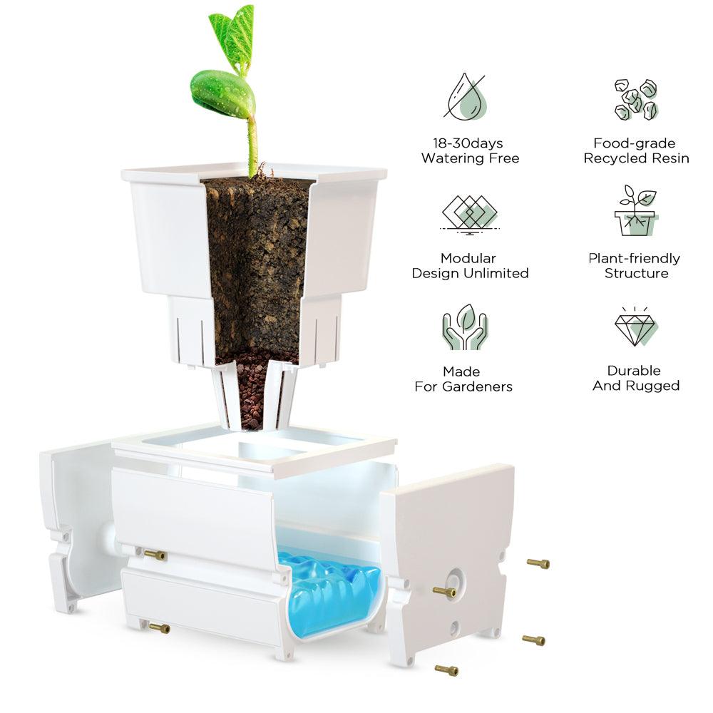Smart Modular Planter with App Control and Automatic Water Cycling (MP1) - LetPot's garden