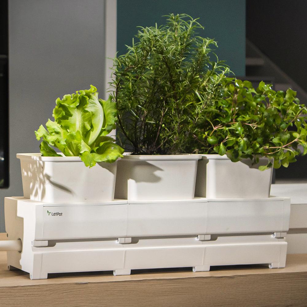 LetPot®｜Smart Modular Planter with App Control and Automatic Water Cycling  (MP1）