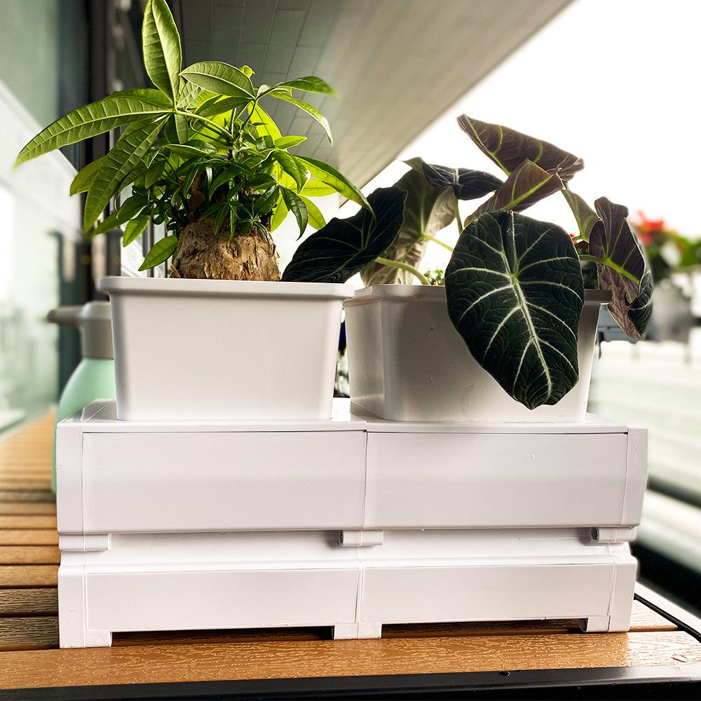 2-unite-modular-planters-outdoor
