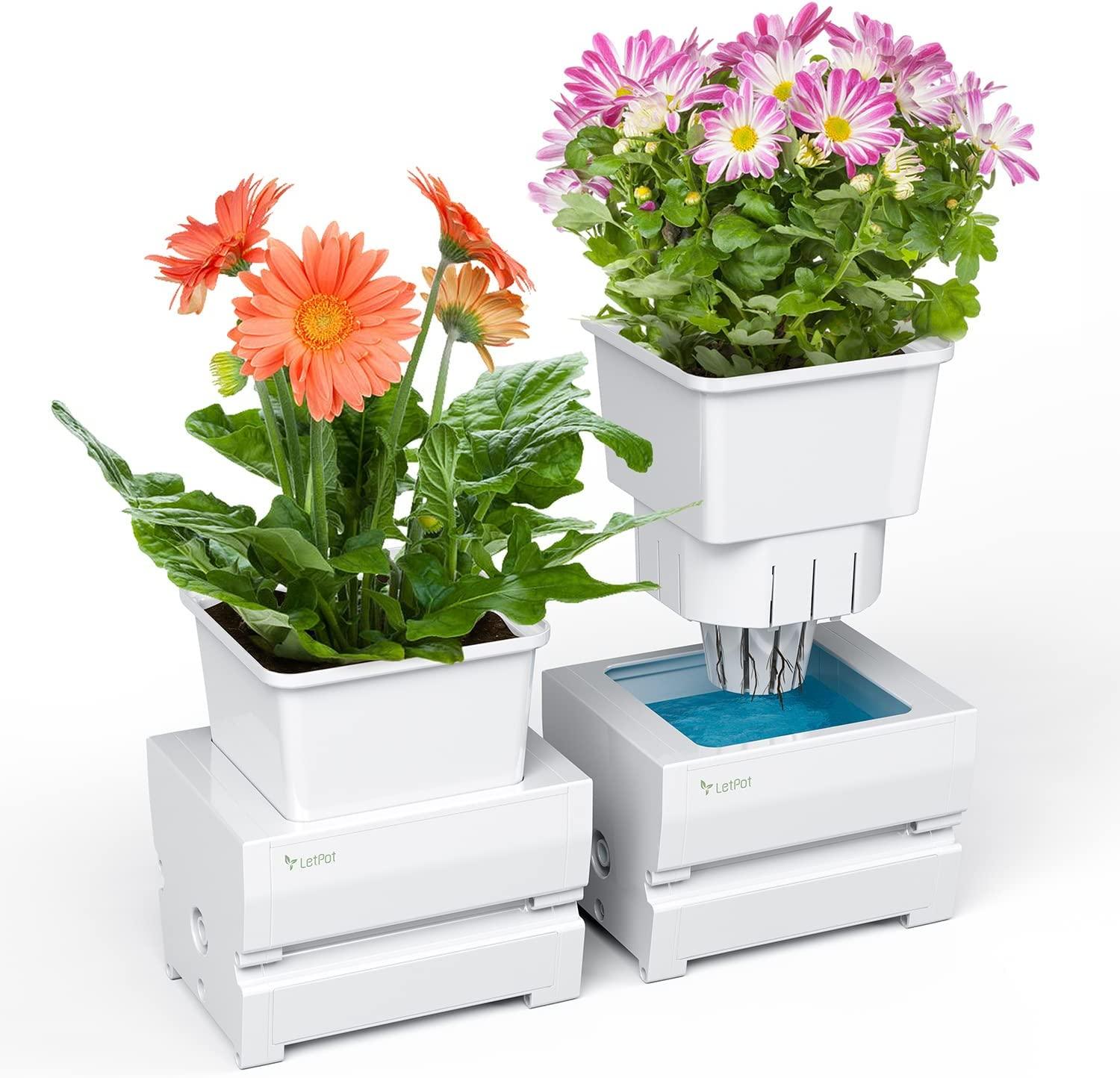 Self-watering Planter with 21 Days Watering-free 2 Separate Plant Pots - LetPot's garden