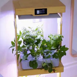 LetPot Home tower